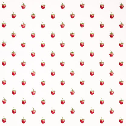 SCHUMACHER  JOHNSON HARTIG FRESHIE FRESH PATTERN WOVENS PATTERN WOVENS IVORY   - 82280