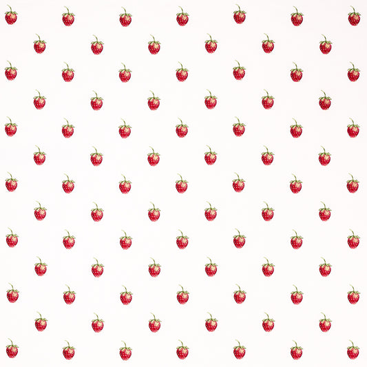 SCHUMACHER  JOHNSON HARTIG FRESHIE FRESH PATTERN WOVENS PATTERN WOVENS IVORY   - 82280