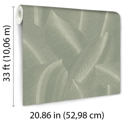 Veer Decor Allure Leaf Moss Wallpaper Nature Contemporary/Modern Green  Wallpaper - 8249-AB2