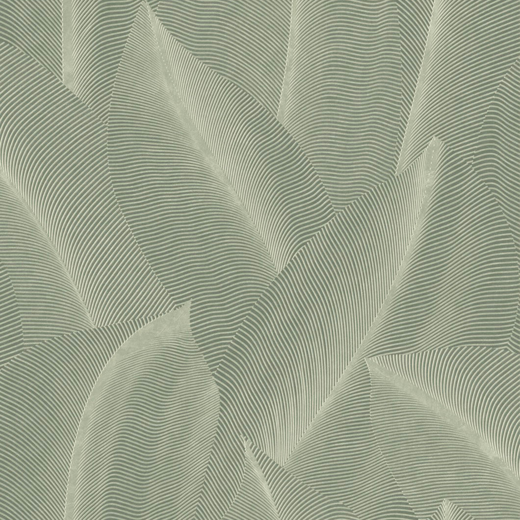 Veer Decor Allure Leaf Moss Wallpaper Nature Contemporary/Modern Green  Wallpaper - 8249-AB2