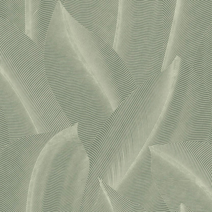 Veer Decor Allure Leaf Moss Wallpaper Nature Contemporary/Modern Green  Wallpaper - 8249-AB2