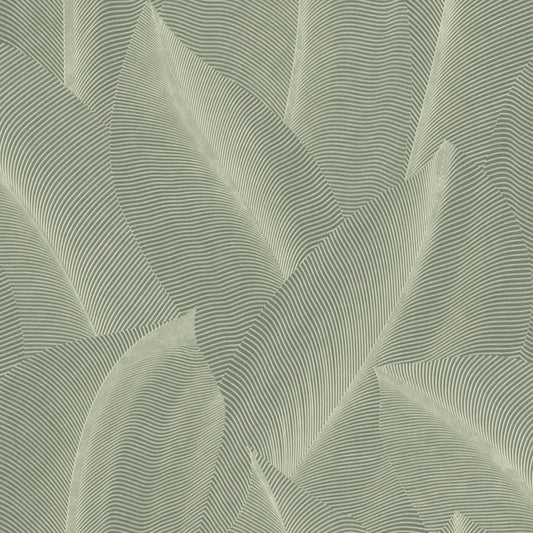 Veer Decor Allure Leaf Moss Wallpaper Nature Contemporary/Modern Green  Wallpaper - 8249-AB2