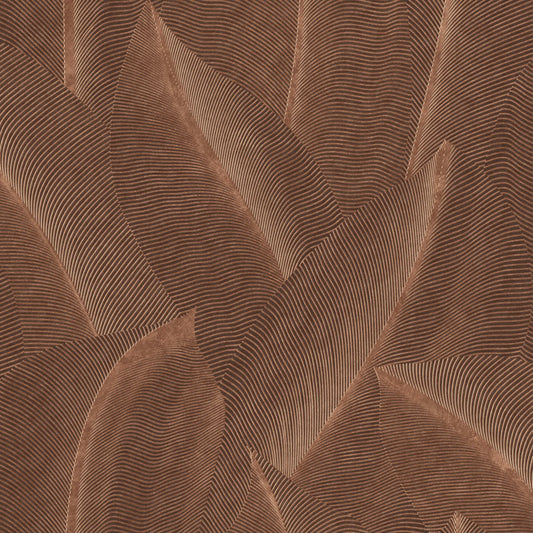 Veer Decor Allure Leaf Brown Wallpaper Nature Contemporary/Modern Brown  Wallpaper - 8249-AB3