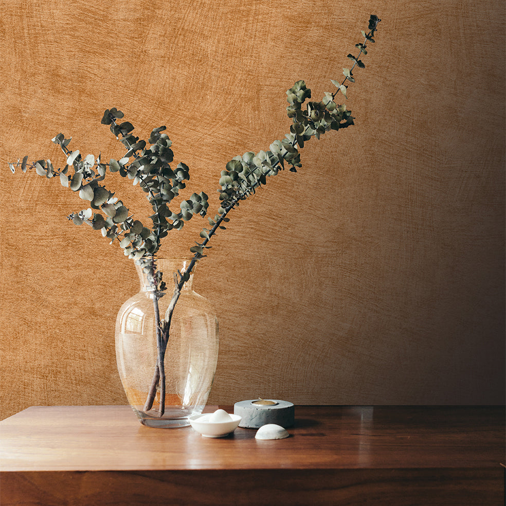 Veer Decor Pampas Plain Brushed Texture Apricot Orange Wallpaper Abstract Modern, Contemporary, Traditional Orange  Wallpaper - 8250-AA10