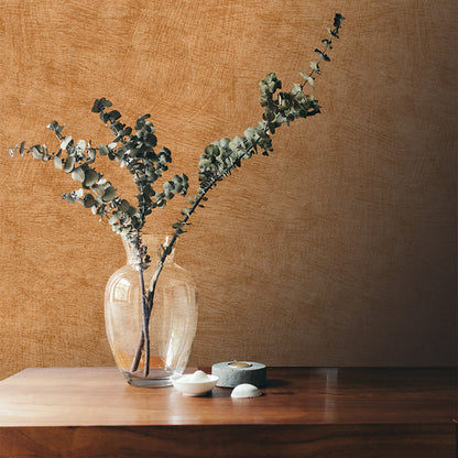 Veer Decor Pampas Plain Brushed Texture Apricot Orange Wallpaper Abstract Modern, Contemporary, Traditional Orange  Wallpaper - 8250-AA10