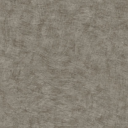 Veer Decor Pampas Plain Brushed Texture Antracite Wallpaper Abstract Modern, Contemporary, Traditional Gray  Wallpaper - 8250-AA12