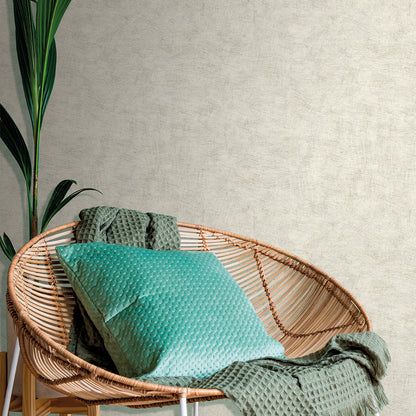 Veer Decor Pampas Plain Brushed Texture Winter White Wallpaper Abstract Modern, Contemporary, Traditional White  Wallpaper - 8250-AA1