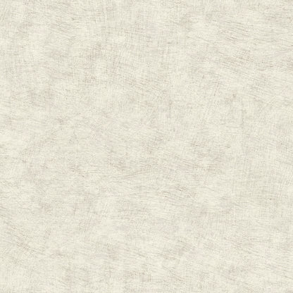 Veer Decor Pampas Plain Brushed Texture Winter White Wallpaper Abstract Modern, Contemporary, Traditional White  Wallpaper - 8250-AA1