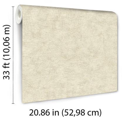 Veer Decor Pampas Plain Brushed Texture Ivory Wallpaper Abstract Modern, Contemporary, Traditional Beige  Wallpaper - 8250-AA2