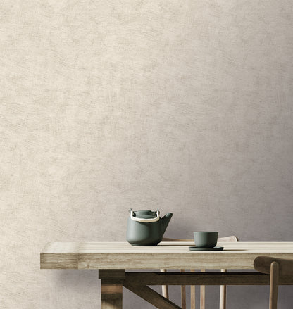 Veer Decor Pampas Plain Brushed Texture Light Grey Wallpaper Abstract Modern, Contemporary, Traditional Cream  Wallpaper - 8250-AA3