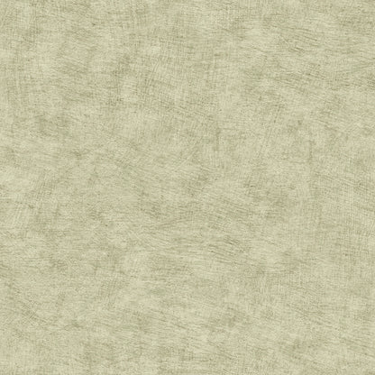 Veer Decor Pampas Plain Brushed Texture Misty Green Wallpaper Abstract Modern, Contemporary, Traditional Sage  Wallpaper - 8250-AA6