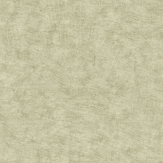 Veer Decor Pampas Plain Brushed Texture Misty Green Wallpaper Abstract Modern, Contemporary, Traditional Sage  Wallpaper - 8250-AA6