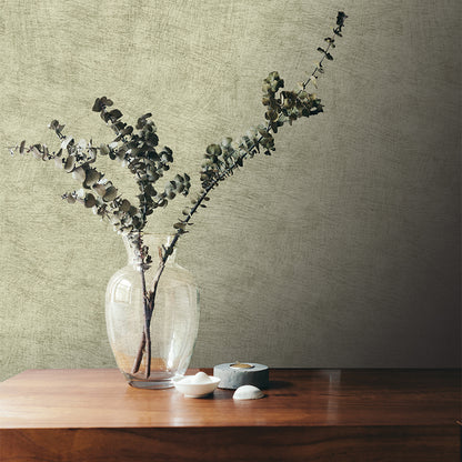 Veer Decor Pampas Plain Brushed Texture Misty Green Wallpaper Abstract Modern, Contemporary, Traditional Sage  Wallpaper - 8250-AA6