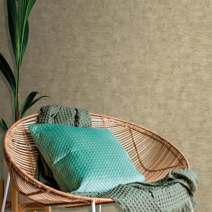 Veer Decor Pampas Plain Brushed Texture Olive Grey Wallpaper Abstract Modern, Contemporary, Traditional Sepia  Wallpaper - 8250-AA8