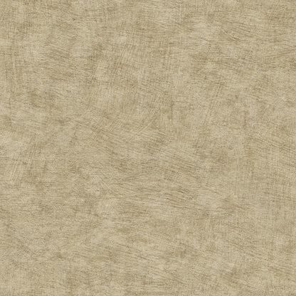 Veer Decor Pampas Plain Brushed Texture Olive Grey Wallpaper Abstract Modern, Contemporary, Traditional Sepia  Wallpaper - 8250-AA8