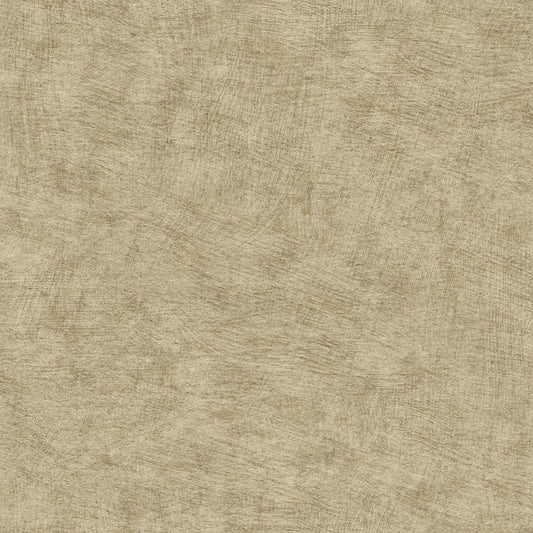Veer Decor Pampas Plain Brushed Texture Olive Grey Wallpaper Abstract Modern, Contemporary, Traditional Sepia  Wallpaper - 8250-AA8