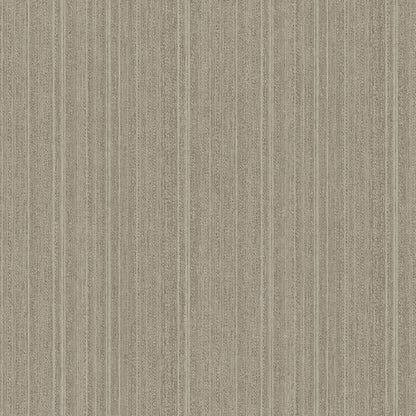 Veer Decor Rope Plain Texture Ash Grey Wallpaper Abstract Modern, Contemporary, Traditional Gray  Wallpaper - 8250-AB7