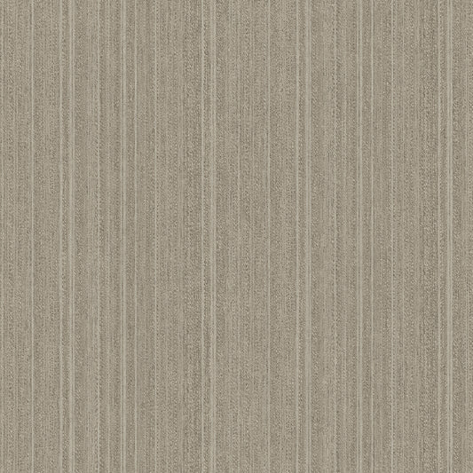 Veer Decor Rope Plain Texture Ash Grey Wallpaper Abstract Modern, Contemporary, Traditional Gray  Wallpaper - 8250-AB7