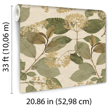 Wallpaper with a botanical print of green leaves and cream hydrangea clusters on a beige background.