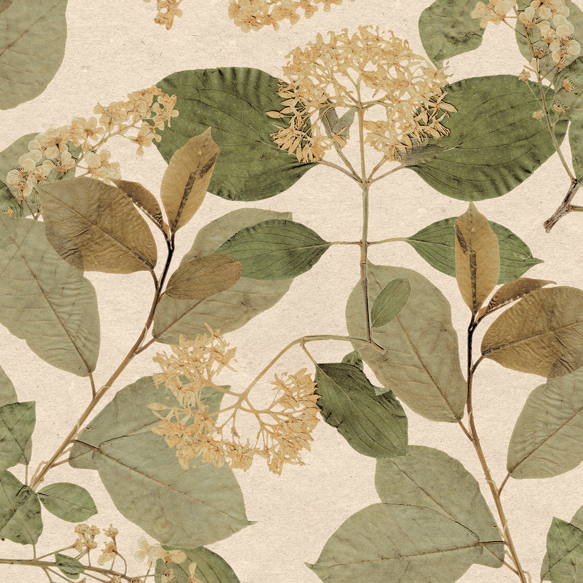 Beige botanical print with olive-green leaves and pale yellow flower clusters, vintage wallpaper style.