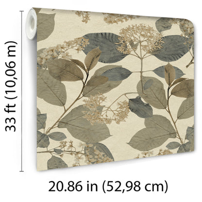 Rolled botanical wallpaper sample with beige cream background and gray-brown leaves; 33 ft x 20.86 in.
