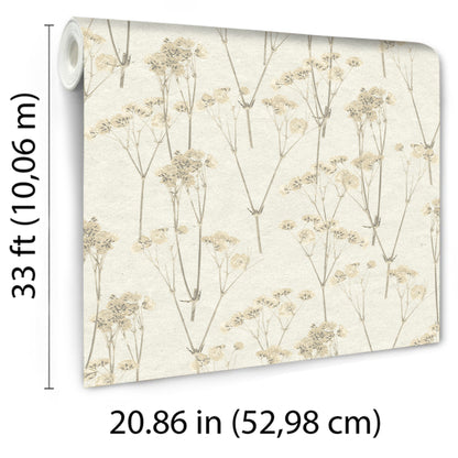 Veer Decor Spry Flower Cream Wallpaper Floral Transitional, Traditional Cream  Wallpaper - 8250-AD1
