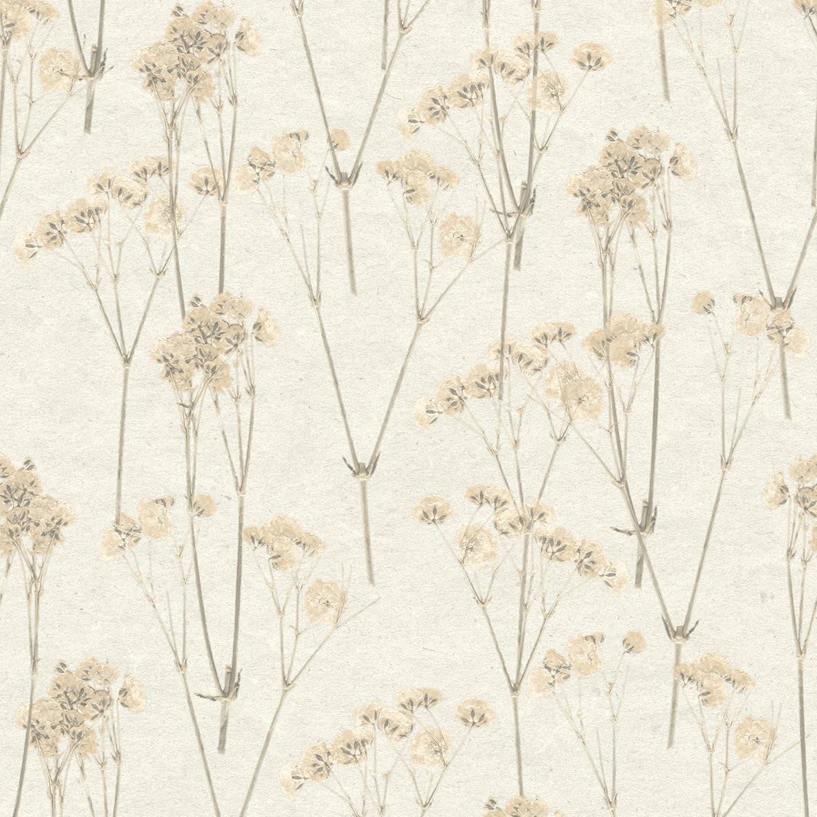 Veer Decor Spry Flower Cream Wallpaper Floral Transitional, Traditional Cream  Wallpaper - 8250-AD1