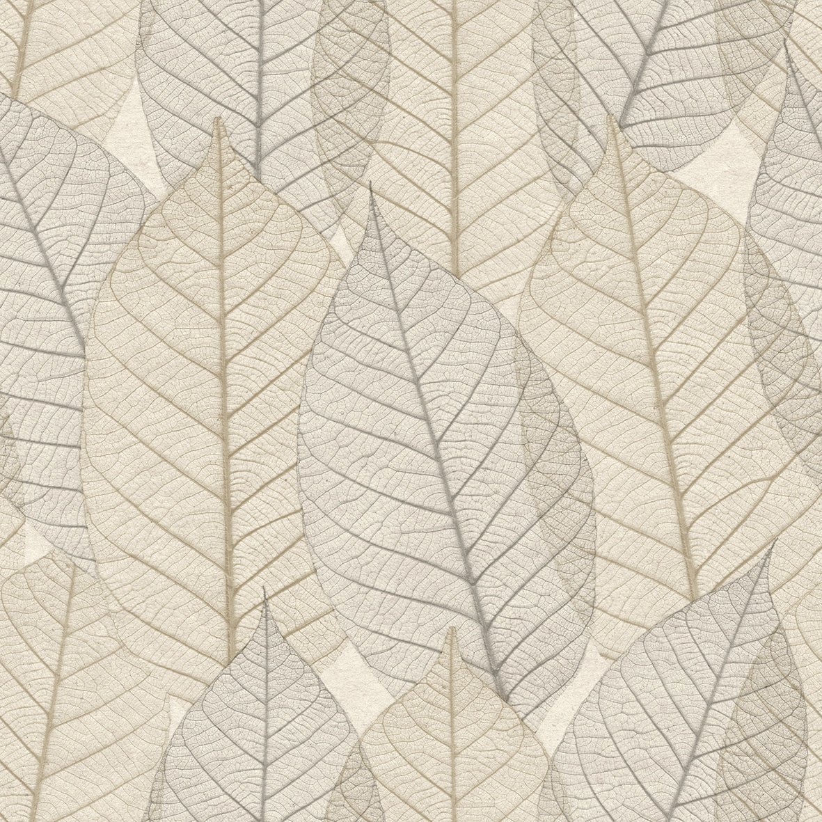 Veer Decor Leaf Lace Cream Wallpaper Nature Transitional, Traditional Cream  Wallpaper - 8250-AE1