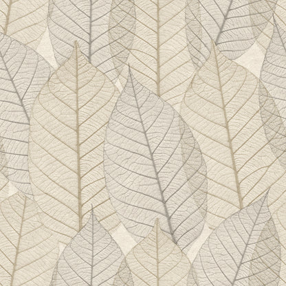 Veer Decor Leaf Lace Cream Wallpaper Nature Transitional, Traditional Cream  Wallpaper - 8250-AE1