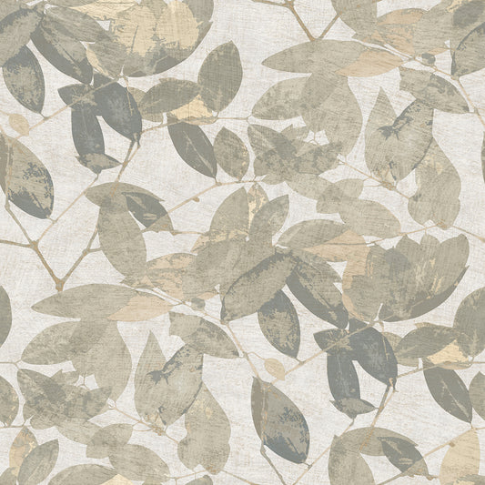 Veer Decor Beech Leaves Cream Wallpaper Nature Transitional, Traditional Cream  Wallpaper - 8250-AG1
