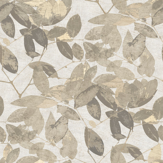 Veer Decor Beech Leaves Warm Taupe Wallpaper Nature Transitional, Traditional Taupe  Wallpaper - 8250-AG2