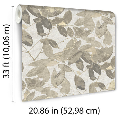 Veer Decor Beech Leaves Warm Taupe Wallpaper Nature Transitional, Traditional Taupe  Wallpaper - 8250-AG2