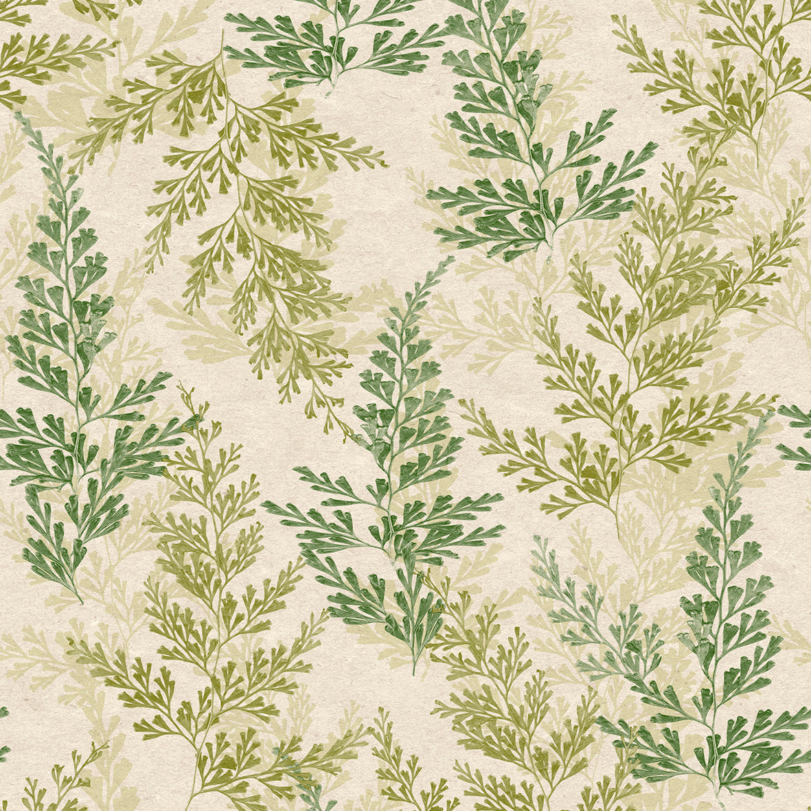 Watercress green wallpaper with feathery fern-like branches in sage and olive tones.