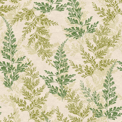 Watercress green wallpaper with feathery fern-like branches in sage and olive tones.