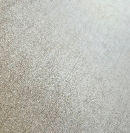 Veer Decor Papyrus Lux Cream Wallpaper Abstract Transitional Cream  Wallpaper - 8251-AA1