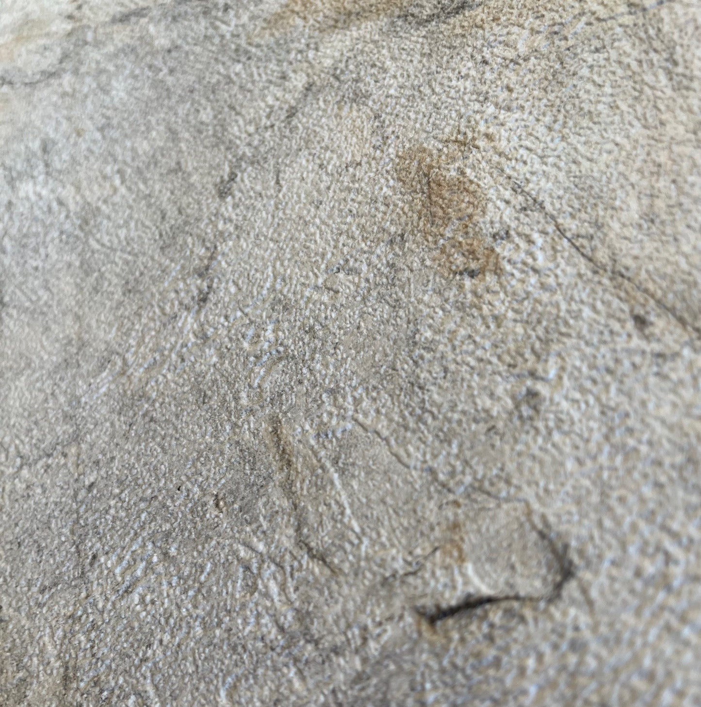 Veer Decor Slate Fusion Beige Wallpaper Abstract Contemporary, Modern, Traditional, Transitional Beige  Wallpaper - 8252-AC2