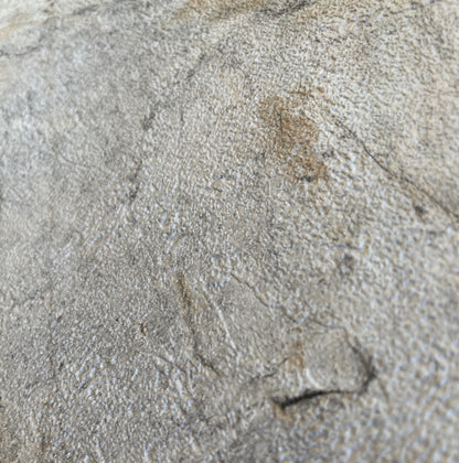 Veer Decor Slate Fusion Beige Wallpaper Abstract Contemporary, Modern, Traditional, Transitional Beige  Wallpaper - 8252-AC2