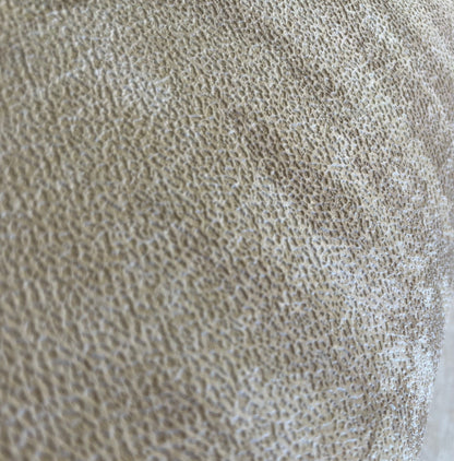 Veer Decor Fern Horizon Beige Wallpaper Nature Transitional Beige  Wallpaper - 8252-AE2