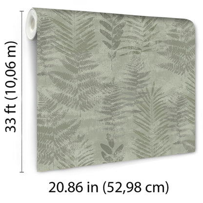 Veer Decor Fern Horizon Green Wallpaper Nature Transitional Green  Wallpaper - 8252-AE5