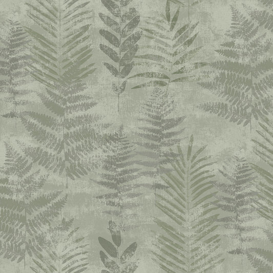 Veer Decor Fern Horizon Green Wallpaper Nature Transitional Green  Wallpaper - 8252-AE5