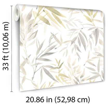 Veer Decor Painted Canopy Beige Wallpaper Nature Tropical, Transitional Beige  Wallpaper - 8252-AI1