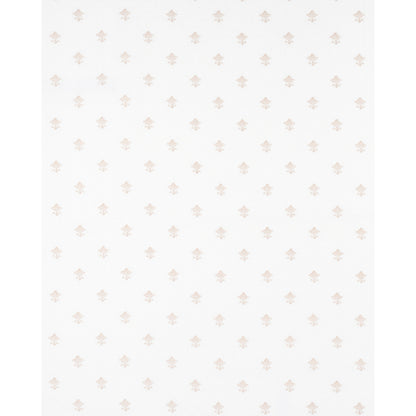 SCHUMACHER  ESSENTIALS: SHEERS & CASEMENTS RUBIA SHEER SHEERS & CASEMENTS SHEERS & CASEMENTS IVORY   - 82550