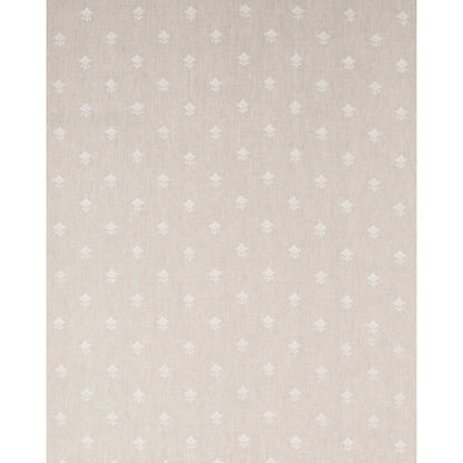 SCHUMACHER  ESSENTIALS: SHEERS & CASEMENTS RUBIA SHEER SHEERS & CASEMENTS SHEERS & CASEMENTS NATURAL   - 82552