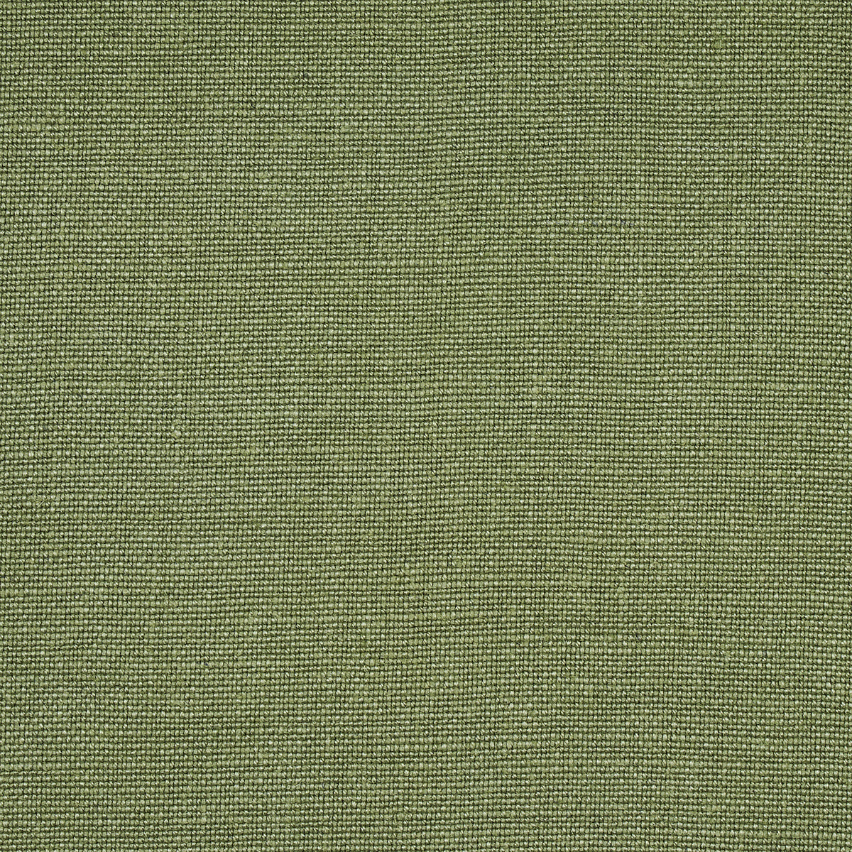 SCHUMACHER  PERFECT BASICS: LINEN PIET PERFORMANCE LINEN PLAINS,HIGH PERFORMANCE PLAINS,HIGH PERFORMANCE MOSS   - 82597