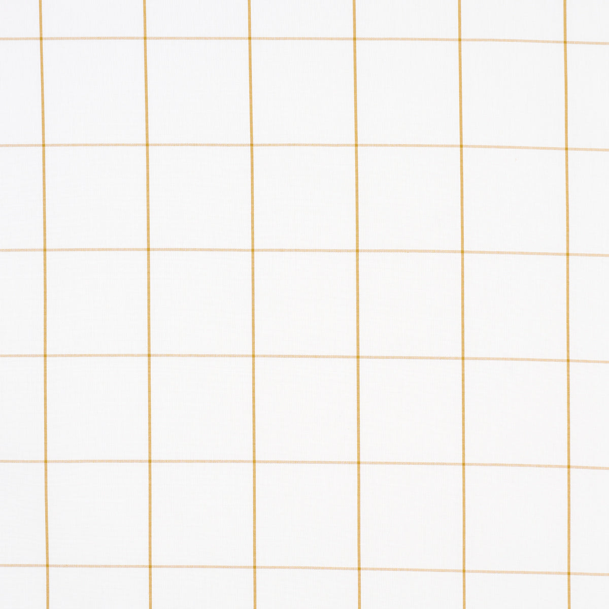 White graph paper with pale tan grid lines in a neat rectangular grid pattern.