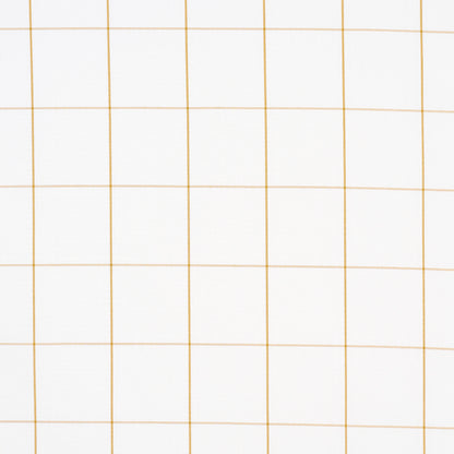 White graph paper with pale tan grid lines in a neat rectangular grid pattern.