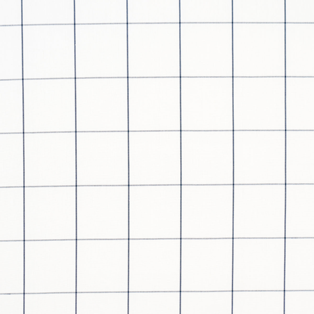 White graph-paper background with blue grid lines forming square cells.