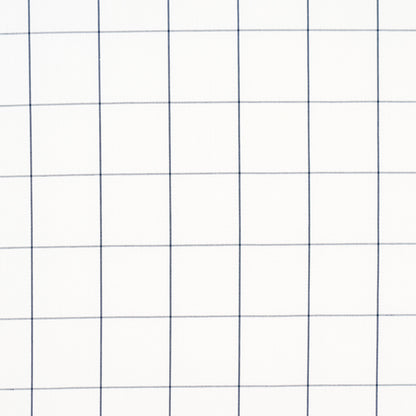 White graph-paper background with blue grid lines forming square cells.