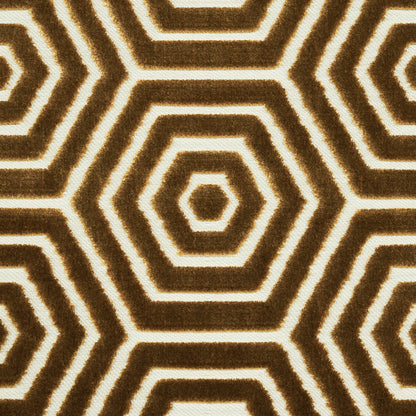 Shaggy brown and cream rug with concentric hexagon geometric pattern; cozy modern living room decor.