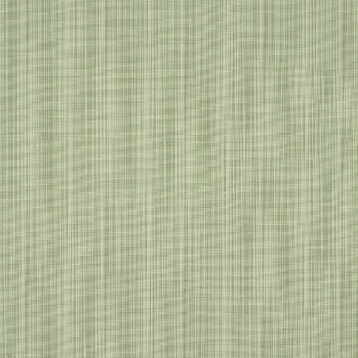 SCHUMACHER  MARK D. SIKES GRACIE SOLID STRIPE WOVEN WOVEN LEAF GREEN   - 83720